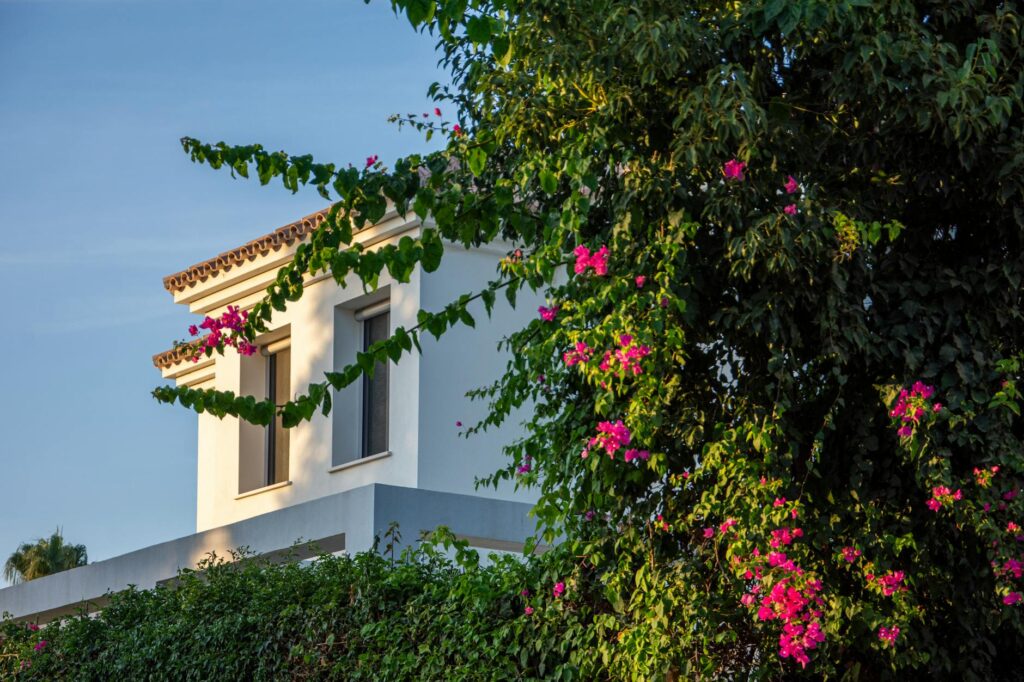 Spanish villa decorated with blooming bougainvillea in Marbella, Spain.